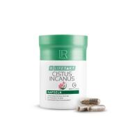 Tabletki Cistus z witaminami